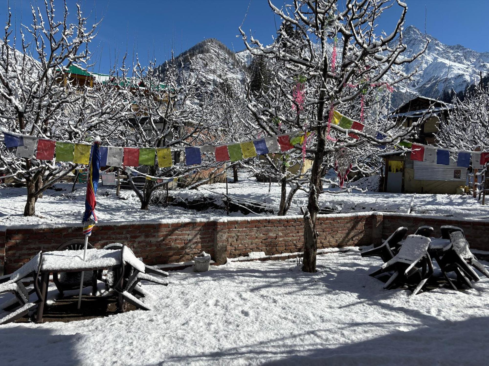 Shalom Guesthouse And Cafe Kalgha Exterior foto